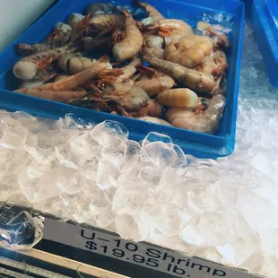 a tray of shrimp on ice