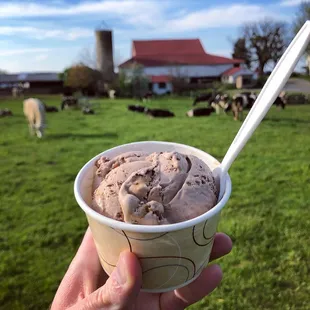 a hand holding a cup of ice cream