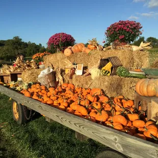 Harvest table display at Chester Springs Creamery. http://www.milkywayfarm.com/