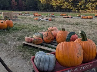 Skinquarter Farm Market