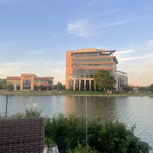 Patio view