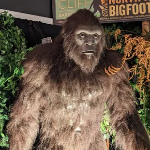 Picture I took with the soccer goal