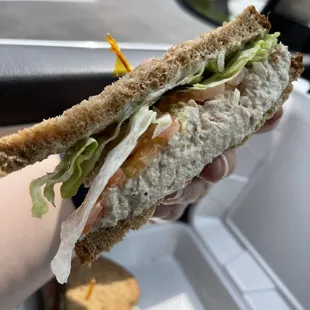 Close up tuna sandwich