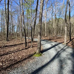 Chestnut Square Park Trail 3K steps of winding gravel path