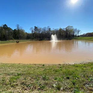 Man made reservoir in the midst of the park trail