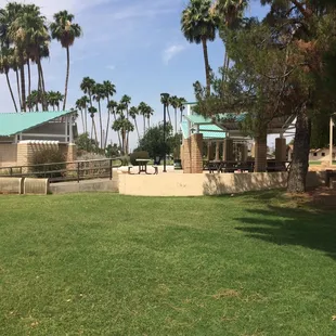 Love all the shade and green grass