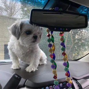 Our nervous girl waiting for the Doctor
