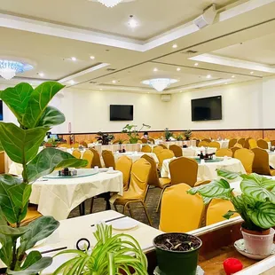 interior, sushi and sashimi