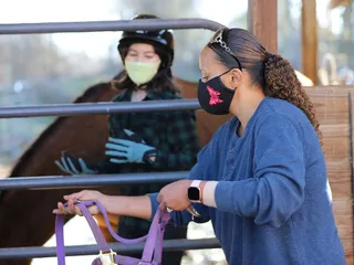 Winward Natural Equine Center