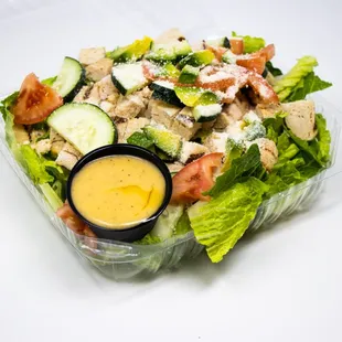 Chicken Caesar Salad