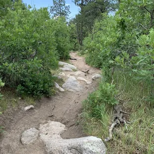 Trail inside of the park