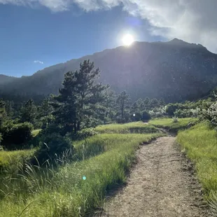 Hiking trail towards the mountain.