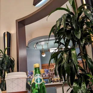 ramen and noodles, interior