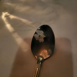 This spoon was brought out for dessert