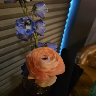 cupcakes, dessert, food