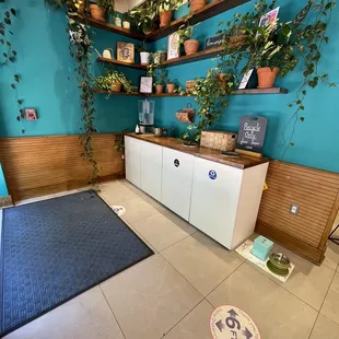 a room with a blue wall and shelves with plants