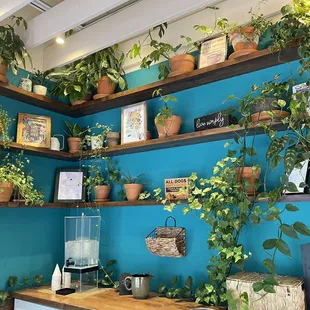 store decorations