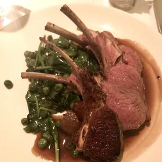 Rack of Lamb