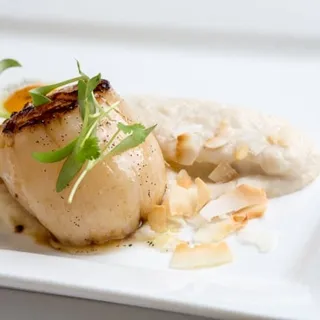 Sea Scallops