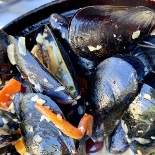 Provencale Moule