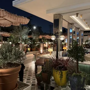 Terrace