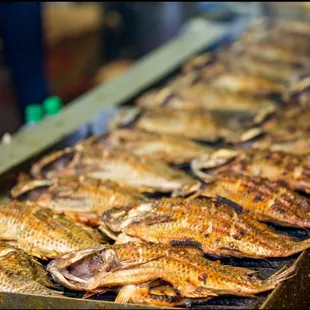Galveston&apos;s Tilapia on the grill