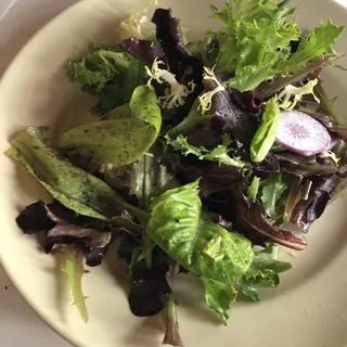 Garden Lettuces