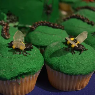 Bug themed cupcakes for birthday party at the Insectarium