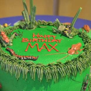 Bug themed cake for birthday party at the Insectarium