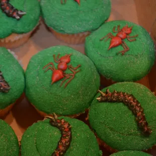 Bug themed cupcakes for birthday party at the Insectarium
