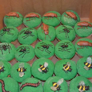 Bug themed cupcakes for birthday party at the Insectarium