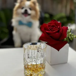 Old Potrero 18th Century Style Rye, SF | $20 (only darks available)