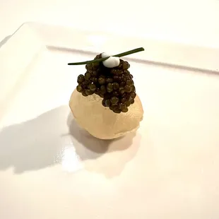 My favorite! Fantastic