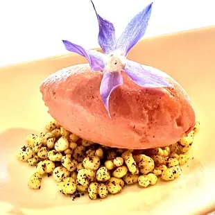 Pink peppercorn lime sorbet, puffed sorghum