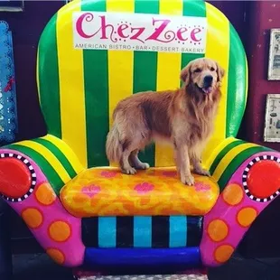 Special Guest on the Chez Zee Big Chair