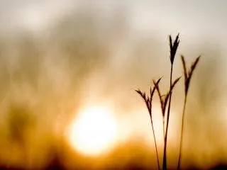 Nebraska Mental Health Centers