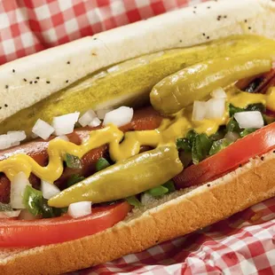 Traditional Chicago dog