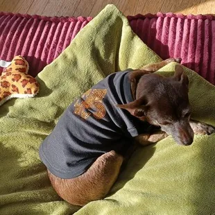 RoRo&apos;s fleur-de-lis tee.