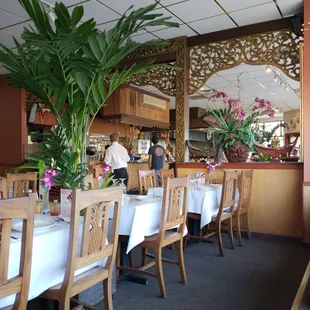 Thai tonight