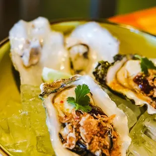 Fresh oyster (IG : @janimal.ca )