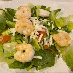 House salad with added shrimp