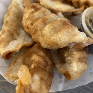 Yummy fried gyoza