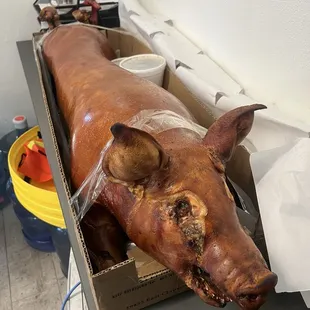 Lechon