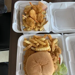 Wings Plate