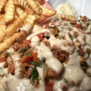 Chicken Shawarma Platter with fries