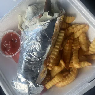 Gyro and Fries, refried fries very questionable looking lamb meat.