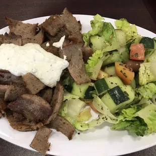 Gyro Plate