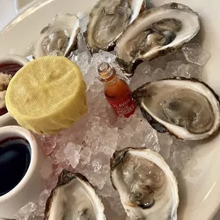 East Coast Oysters