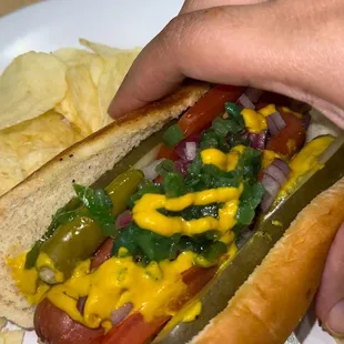 Original Chicago Dog Single