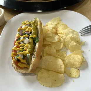 Hot Original Chicago Dog Single
